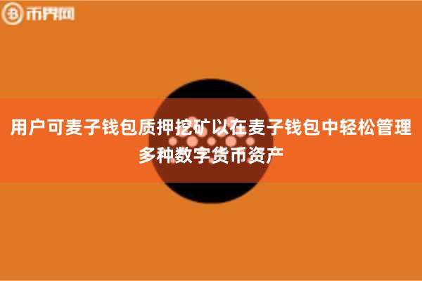 用户可麦子钱包质押挖矿以在麦子钱包中轻松管理多种数字货币资产