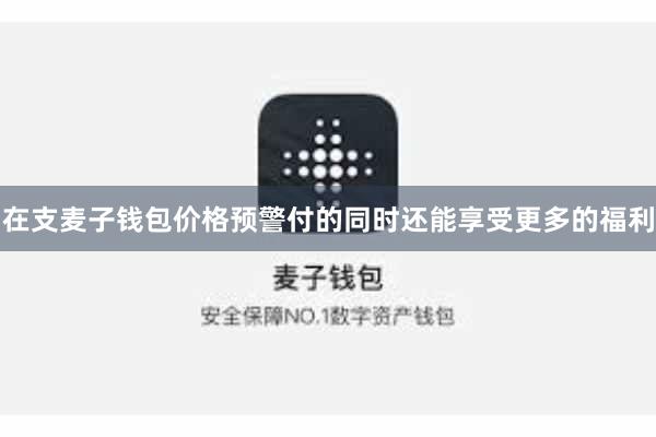 在支麦子钱包价格预警付的同时还能享受更多的福利