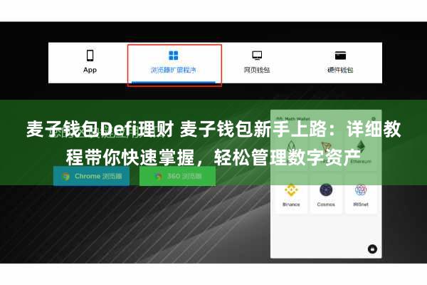 麦子钱包Defi理财 麦子钱包新手上路：详细教程带你快速掌握，轻松管理数字资产
