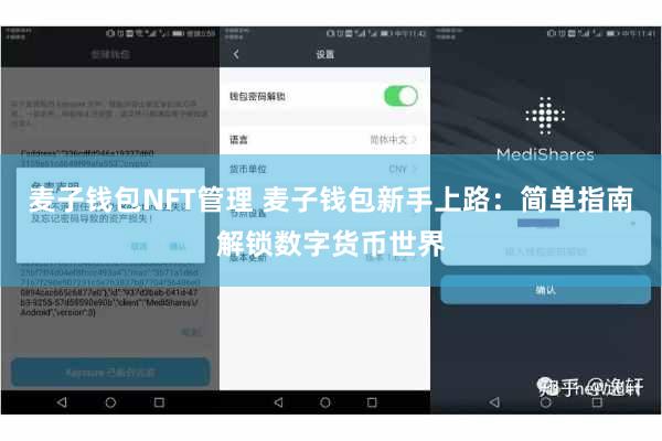麦子钱包NFT管理 麦子钱包新手上路：简单指南解锁数字货币世界