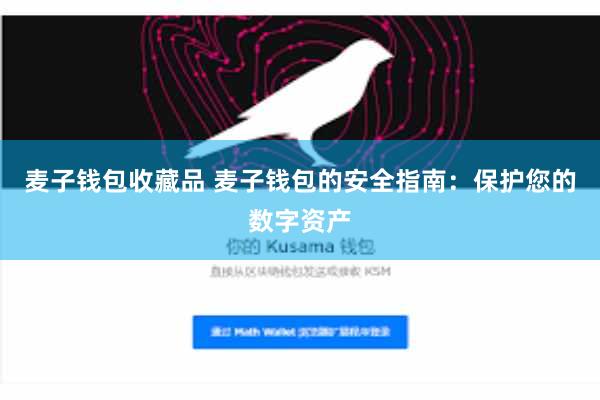 麦子钱包收藏品 麦子钱包的安全指南：保护您的数字资产