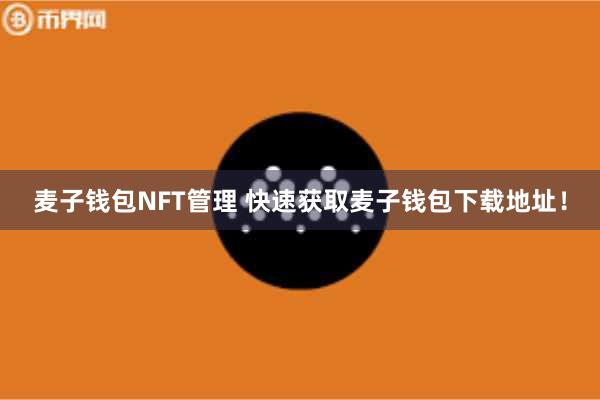 麦子钱包NFT管理 快速获取麦子钱包下载地址！