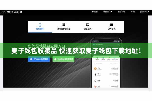 麦子钱包收藏品 快速获取麦子钱包下载地址！