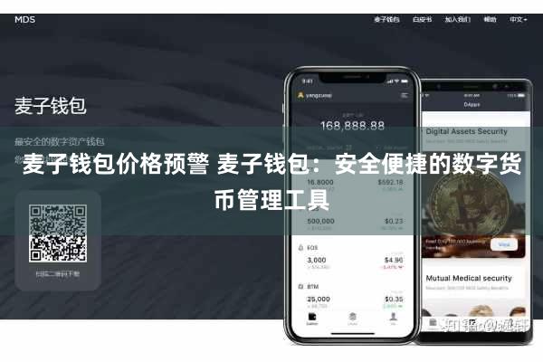 麦子钱包价格预警 麦子钱包：安全便捷的数字货币管理工具