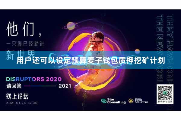 用户还可以设定预算麦子钱包质押挖矿计划