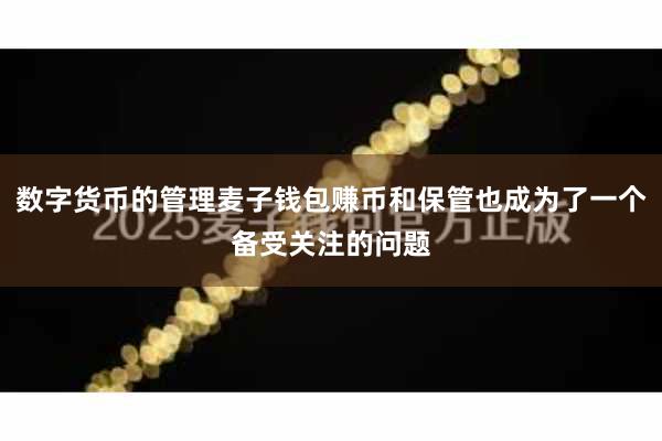 数字货币的管理麦子钱包赚币和保管也成为了一个备受关注的问题