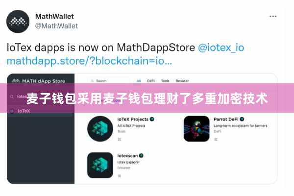 麦子钱包采用麦子钱包理财了多重加密技术