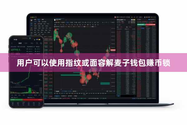 用户可以使用指纹或面容解麦子钱包赚币锁