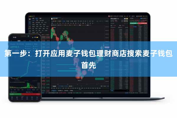 第一步：打开应用麦子钱包理财商店搜索麦子钱包首先