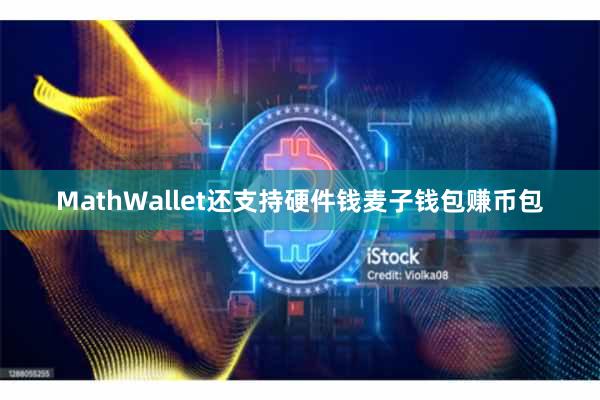 MathWallet还支持硬件钱麦子钱包赚币包