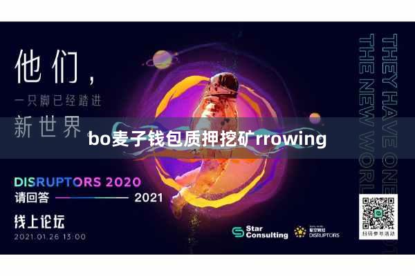bo麦子钱包质押挖矿rrowing