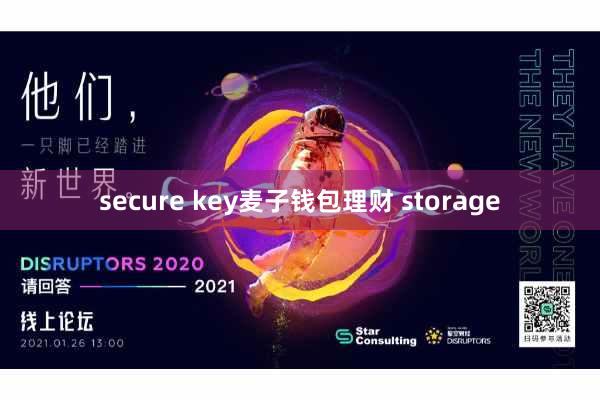 secure key麦子钱包理财 storage