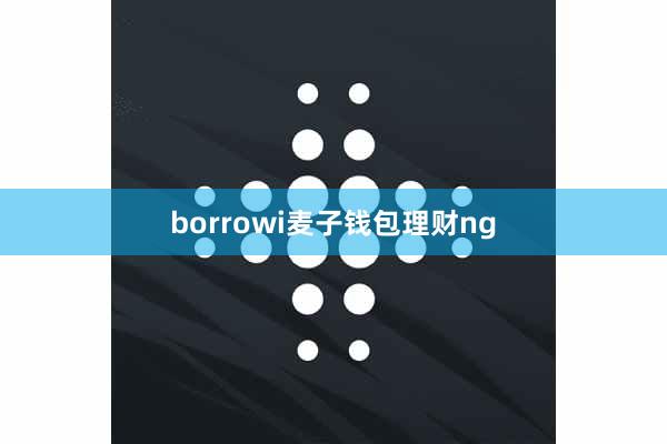 borrowi麦子钱包理财ng