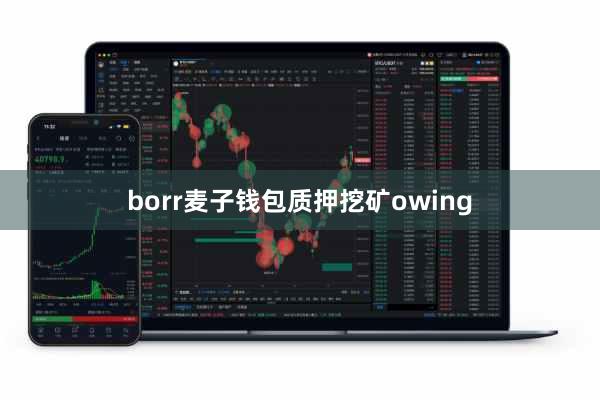 borr麦子钱包质押挖矿owing