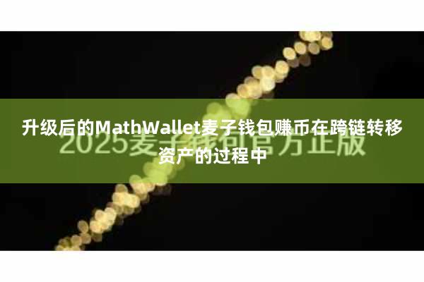 升级后的MathWallet麦子钱包赚币在跨链转移资产的过程中