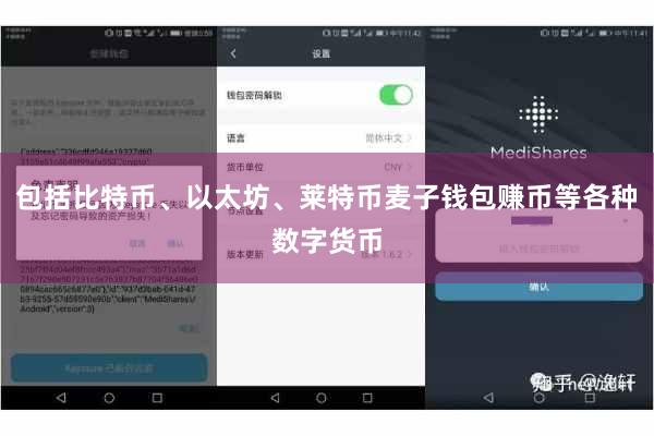 包括比特币、以太坊、莱特币麦子钱包赚币等各种数字货币