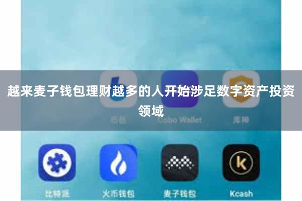 越来麦子钱包理财越多的人开始涉足数字资产投资领域
