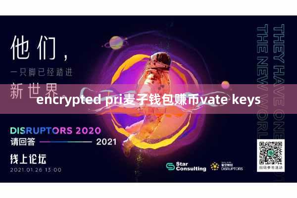 encrypted pri麦子钱包赚币vate keys
